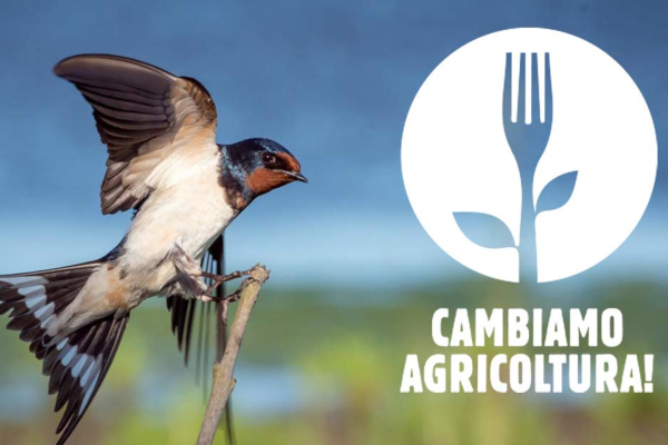 Cambiamo Agricoltura